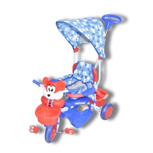 Tricycle pour Enfant avec Toit Amovible