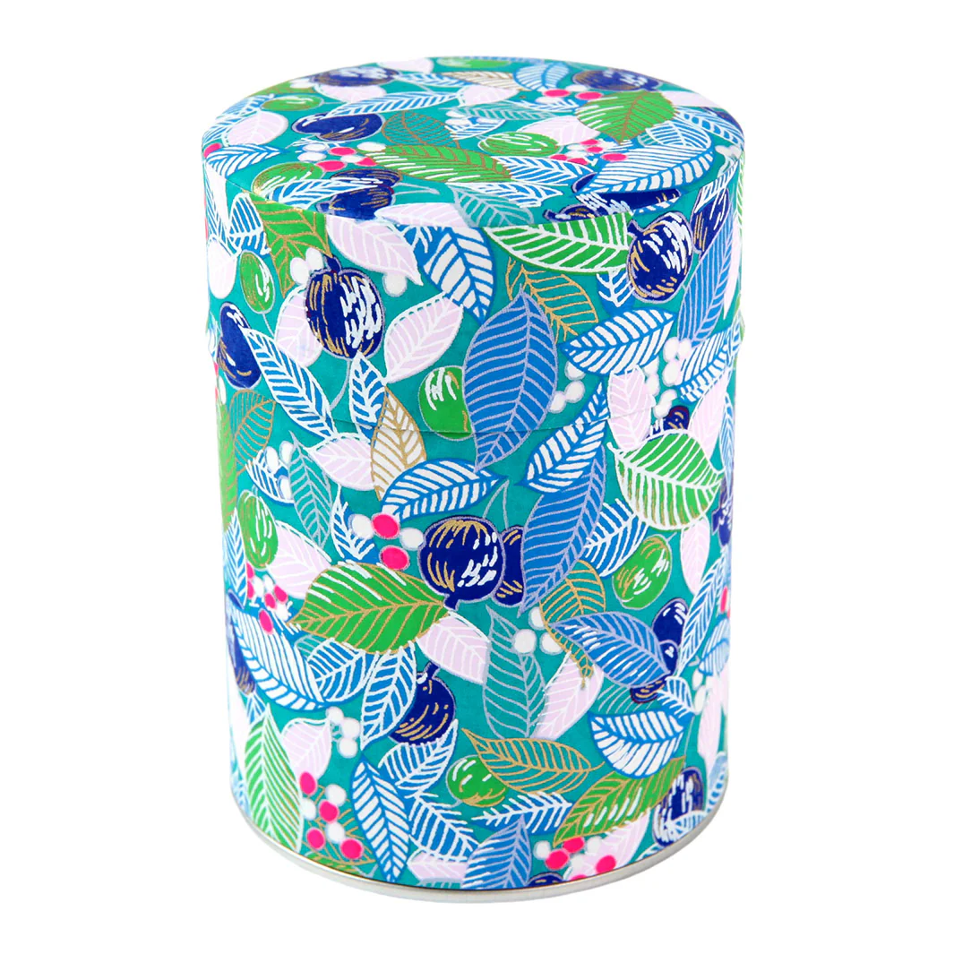 Boîte à Thé - Feuilles, Baies et Fruits - Turquoise, Bleu et Vert - M854 – Image 3