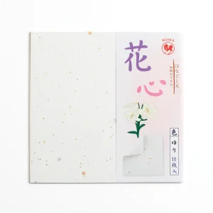 10 Papiers Origami Unis Blanc - 15x15 cm