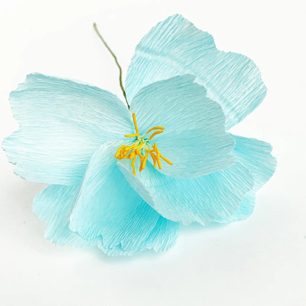 Colle Blanche - Prise Normale, Bouchon de Précision - 118 mL – Image 5