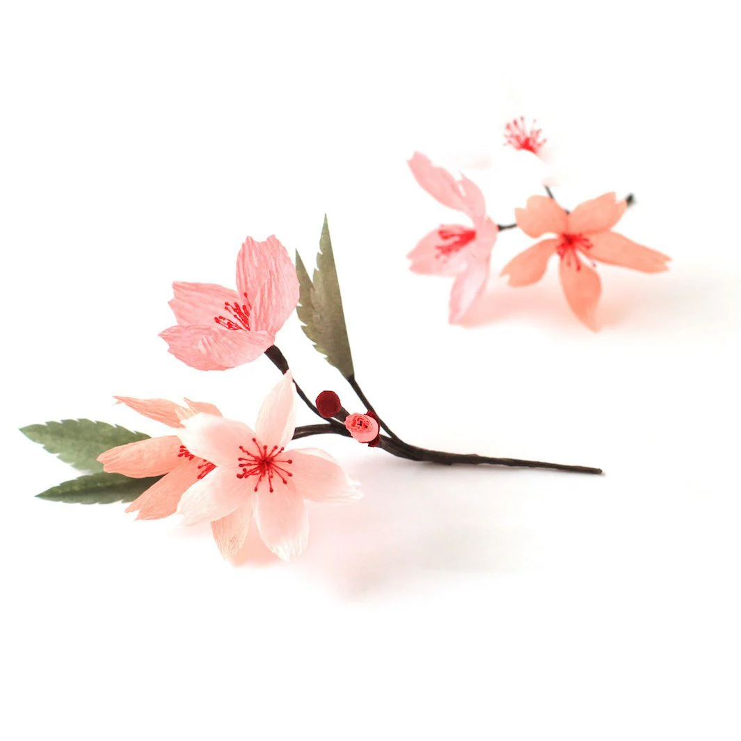 Colle Blanche - Prise Normale, Bouchon Classique - 19,5 mL – Image 7