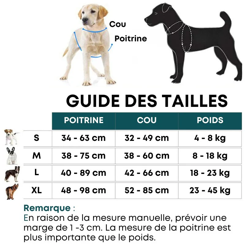 HARNAIS ANTI-TRACTION RÉFLÉCHISSANT – Image 9