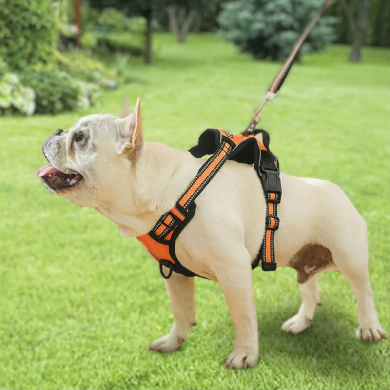 HARNAIS ANTI-TRACTION RÉFLÉCHISSANT – Image 6