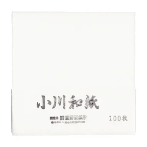 100 Papiers Origami Blanc - Ogawa - 15x15 cm