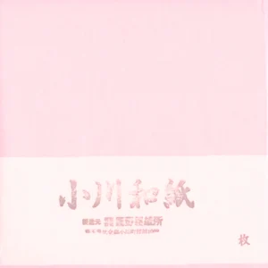 25 Papiers Origami Rose Misty - Ogawa - 25 x 25 cm