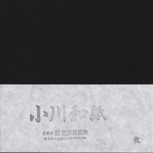 25 Papiers Origami Noir - Ogawa - 25 x 25 cm