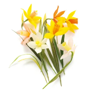 Kit Bouquet de Jonquilles en Crépon - Jaune, Orange, Corail et Vert