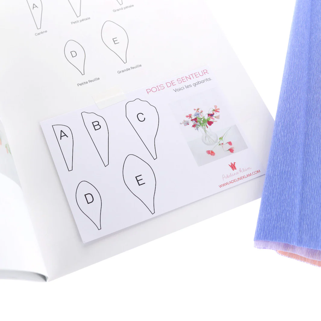 Kit Bouquet de Pois de Senteur en Crépon - Rose Clair, Pêche et Fuchsia, Bleu et Vert Clair et Mauve – Image 5