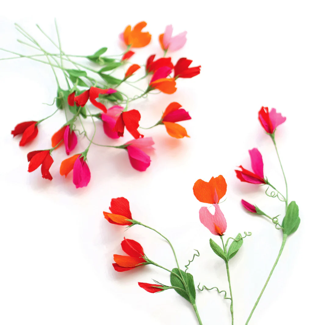 Kit Bouquet de Pois de Senteur en Crépon - Rouge Carmin, Prune, Rose, Orange et Vert Moyen - Passion – Image 2