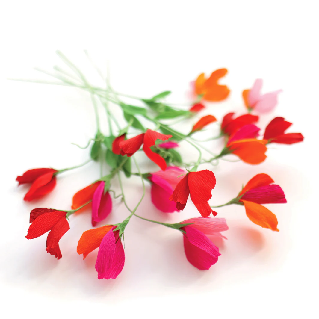 Kit Bouquet de Pois de Senteur en Crépon - Rouge Carmin, Prune, Rose, Orange et Vert Moyen - Passion – Image 5