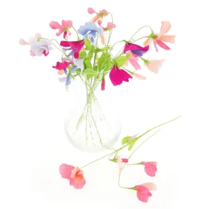 Kit Bouquet de Pois de Senteur en Crépon - Rose Clair, Pêche et Fuchsia, Bleu et Vert Clair et Mauve