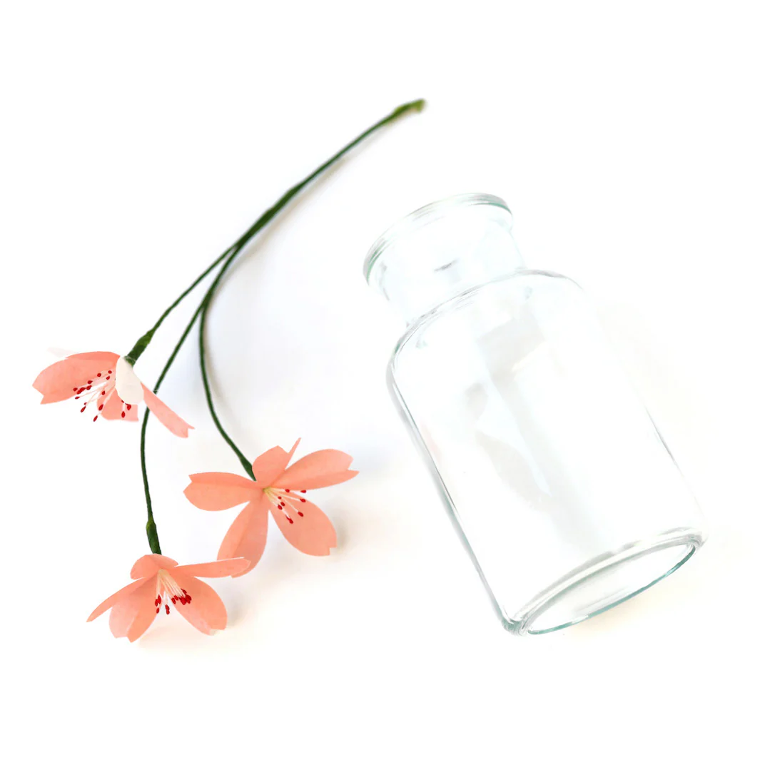 Vase - Verre Transparent - Petit Modèle – Image 2